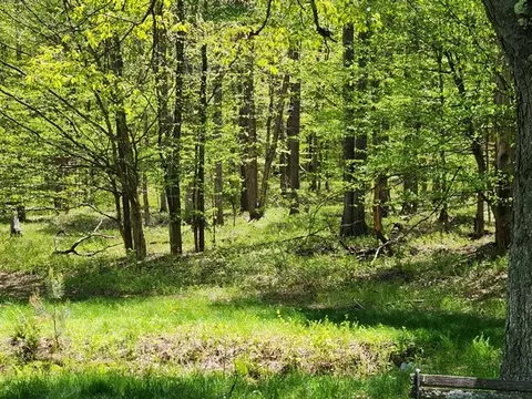 2564 Moore Hill Rd, Shippen Twp, PA 15834 photo 13