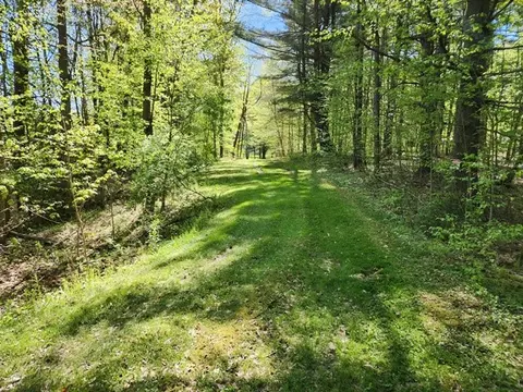 2564 Moore Hill Rd, Shippen Twp, PA 15834 photo 11
