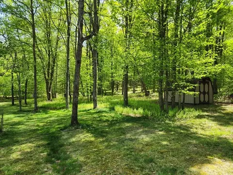 2564 Moore Hill Rd, Shippen Twp, PA 15834 photo 22