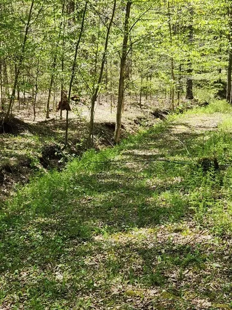 2564 Moore Hill Rd, Shippen Twp, PA 15834 photo 16