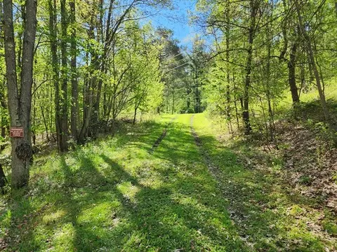 2564 Moore Hill Rd, Shippen Twp, PA 15834 photo 10