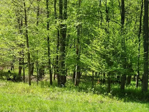 2564 Moore Hill Rd, Shippen Twp, PA 15834 photo 15