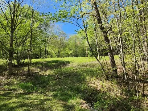 2564 Moore Hill Rd, Shippen Twp, PA 15834 photo 9