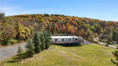 200 Meade Rd, Charlotteville, NY 12036