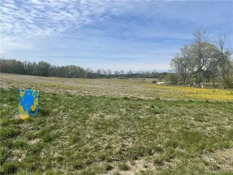 00 Route 318, Junius, NY 13165 photo 3