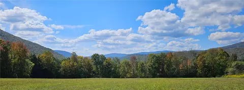 161 N Montgomery Hollow Rd, Roxbury, NY 12474