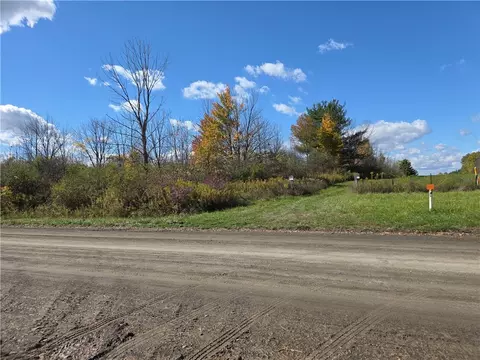 00 Bigelow Hill Rd, Tyrone, NY 14887
