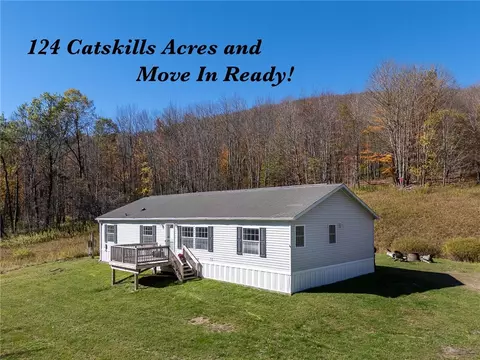 2685 Red Kill Rd, Fleischmanns, NY 12430