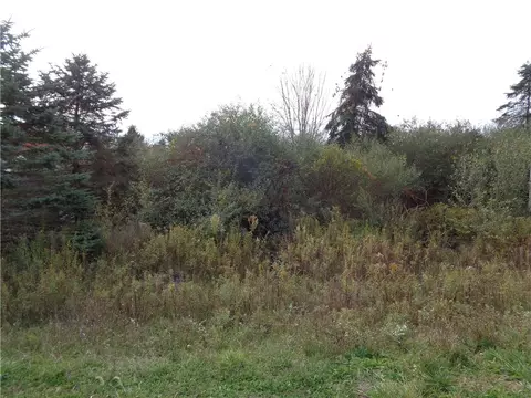 lot Apt 4 Woodcrest Dr, Erwin, NY 14870