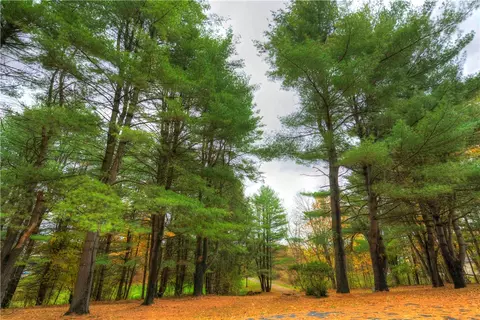 Other - 5729 E Henrietta Rd, Rush, NY 14543 photo 9 of 10