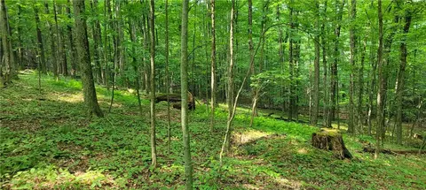 Hagerman, Chemung, NY 14892