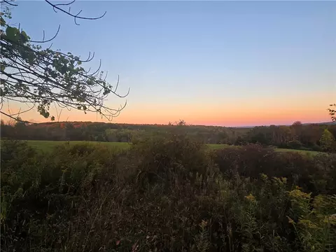Hardknocks Road, Unadilla, NY 13849