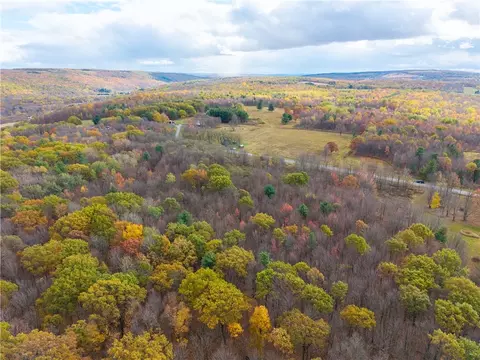 Camel Road, Conesus, NY 14435 photo 9