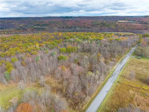 Camel Road, Conesus, NY 14435 photo 13