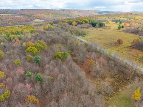 Camel Road, Conesus, NY 14435 photo 7