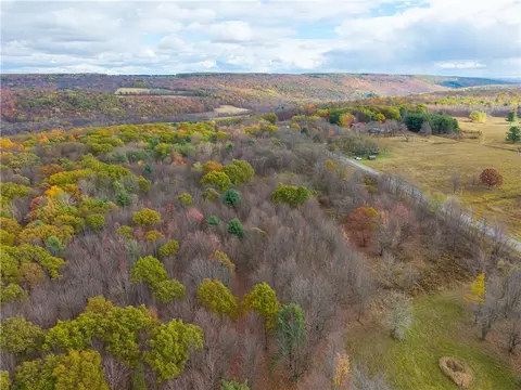 Camel Road, Conesus, NY 14435 photo 8
