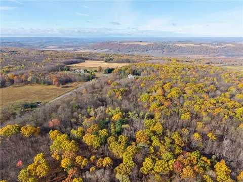 Camel Road, Conesus, NY 14435 photo 5
