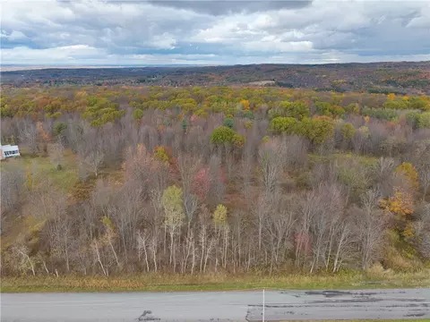 Camel Road, Conesus, NY 14435 photo 6