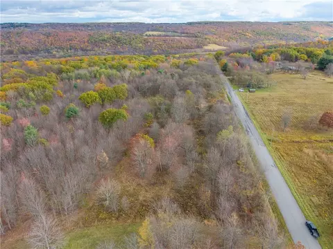 Camel Road, Conesus, NY 14435 photo 11