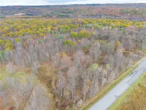 Camel Road, Conesus, NY 14435 photo 12