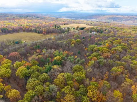 Camel Road, Conesus, NY 14435 photo 10