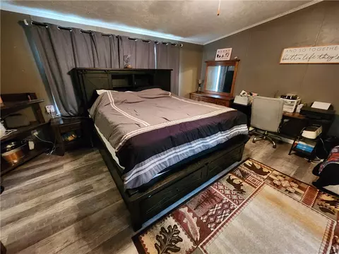 3785 Retsof Rd, Piffard, NY 14533 photo 20