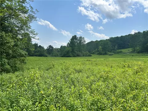 lot3 Oregon Rd, Butternuts, NY 13776