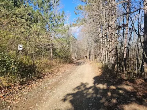 0 Thunder Mtn E, Springwater, NY 14560 photo 3