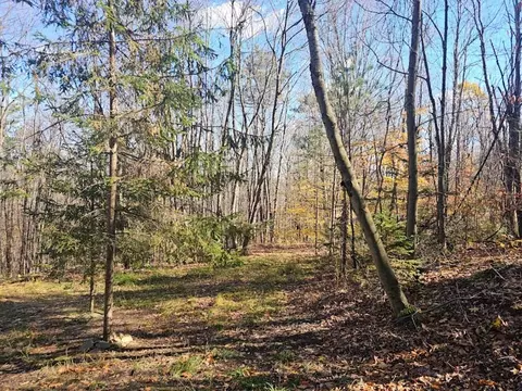 0 Thunder Mtn E, Springwater, NY 14560 photo 2