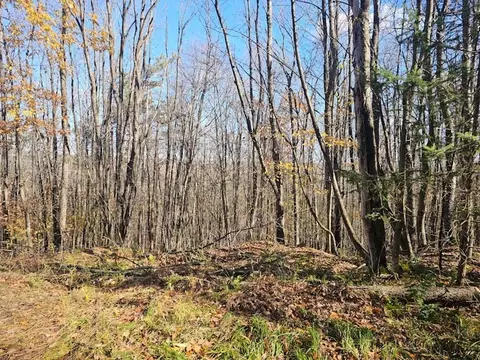 0 Thunder Mtn E, Springwater, NY 14560 photo 8
