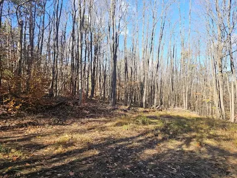 0 Thunder Mtn E, Springwater, NY 14560 photo 10