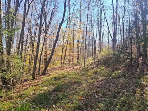 0 Thunder Mtn E, Springwater, NY 14560 photo 6