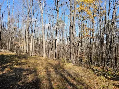 0 Thunder Mtn E, Springwater, NY 14560 photo 9