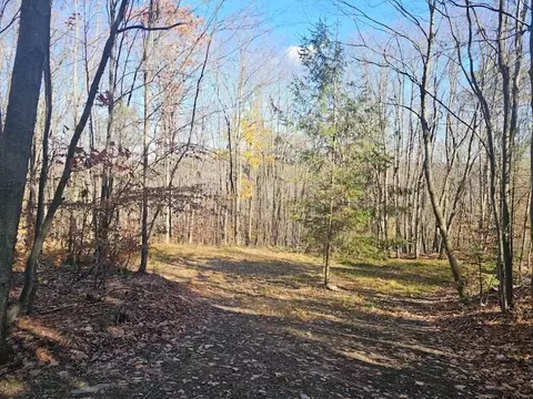 0 Thunder Mtn E, Springwater, NY 14560 photo 13