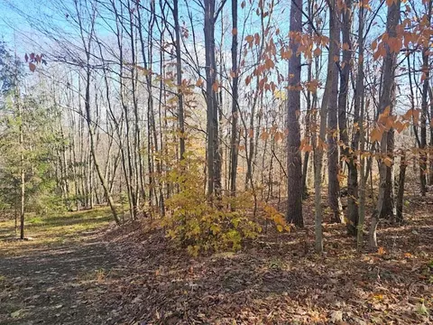 0 Thunder Mtn E, Springwater, NY 14560 photo 14