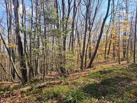 0 Thunder Mtn E, Springwater, NY 14560 photo 7