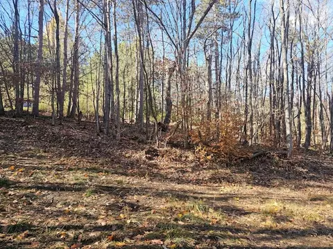 0 Thunder Mtn E, Springwater, NY 14560 photo 11