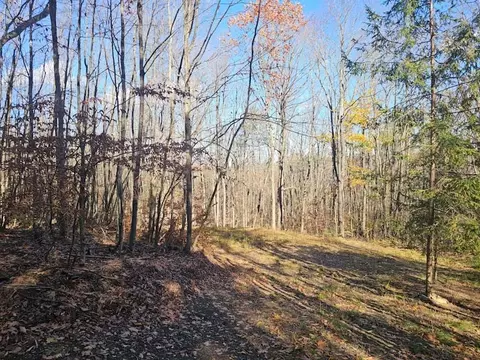0 Thunder Mtn E, Springwater, NY 14560 photo 5
