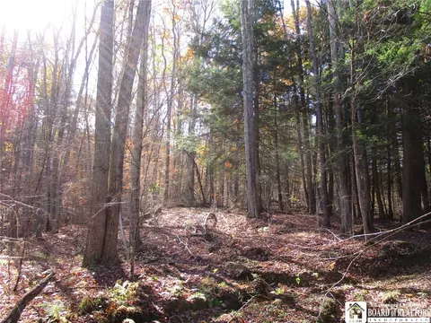 Gordon Brook, Scio, NY 14880
