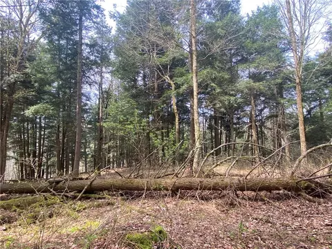 lot A Piermott Ln, Hartwick, NY 13348