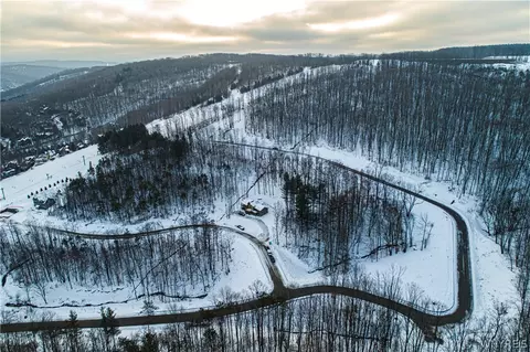 fresh tracks, Mansfield, NY 14731