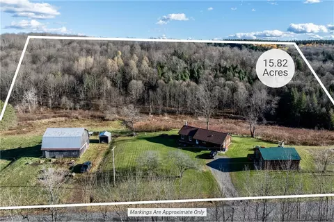 View/Area - 268 Armstrong Rd, Plainfield, NY 13491 photo 1 of 6
