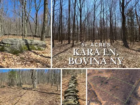 lot25 Kara Ln, Bovina, NY 13740
