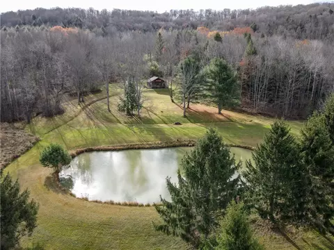 Vl Trapping Brook Road, Wellsville, NY 14895