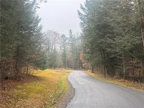 Thorpe Hill Road, Masonville, NY 13838