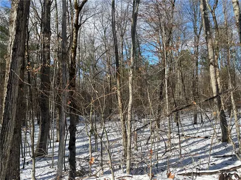 Stanley Roseboom Road, Westford, NY 12155