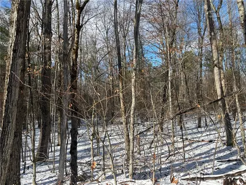Stanley Roseboom Road, Westford, NY 12155