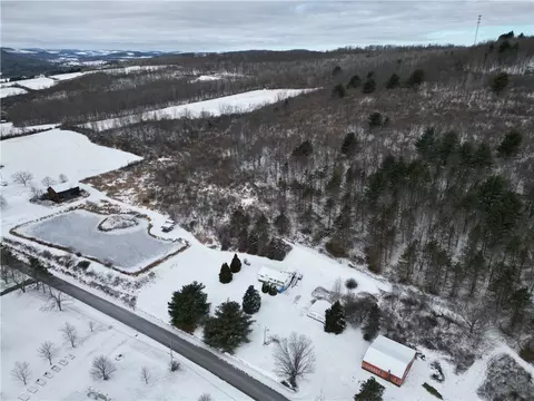 5565 Thomas Rd, Woodhull, NY 14898