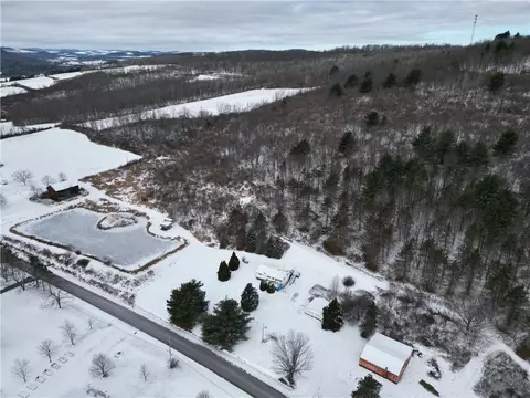 5565 Thomas Rd, Woodhull, NY 14898