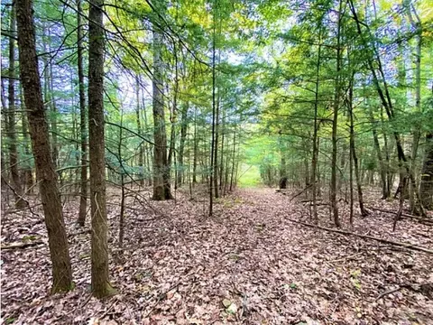 Tinkertown Road, Tuscarora, NY 14801